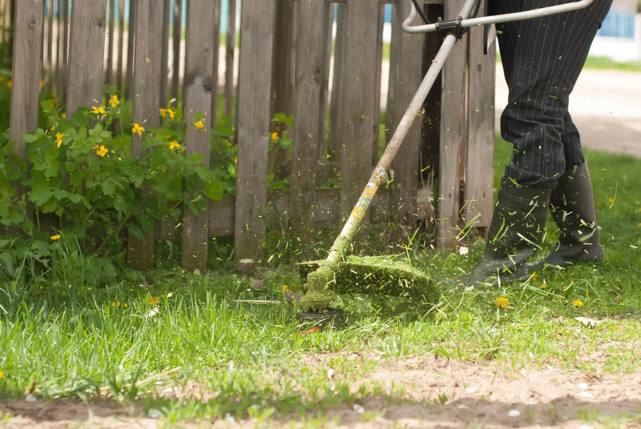 The 7 Best Weed Eaters to Make Your Yard Picture-Perfect (2023)