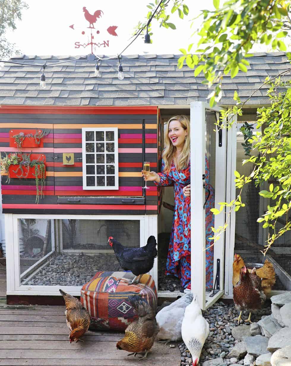 Colorful chicken coop