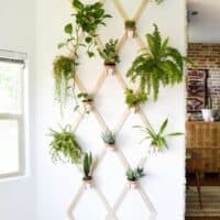 Leather and wood trellis vertical garden