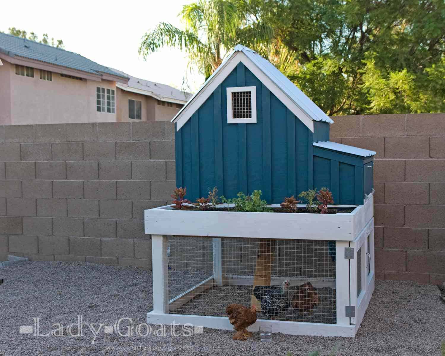 Small two story chicken coop