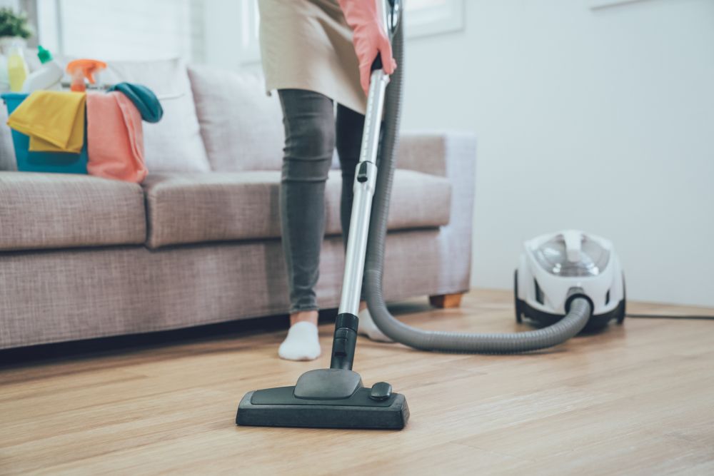 Best canister vacuums