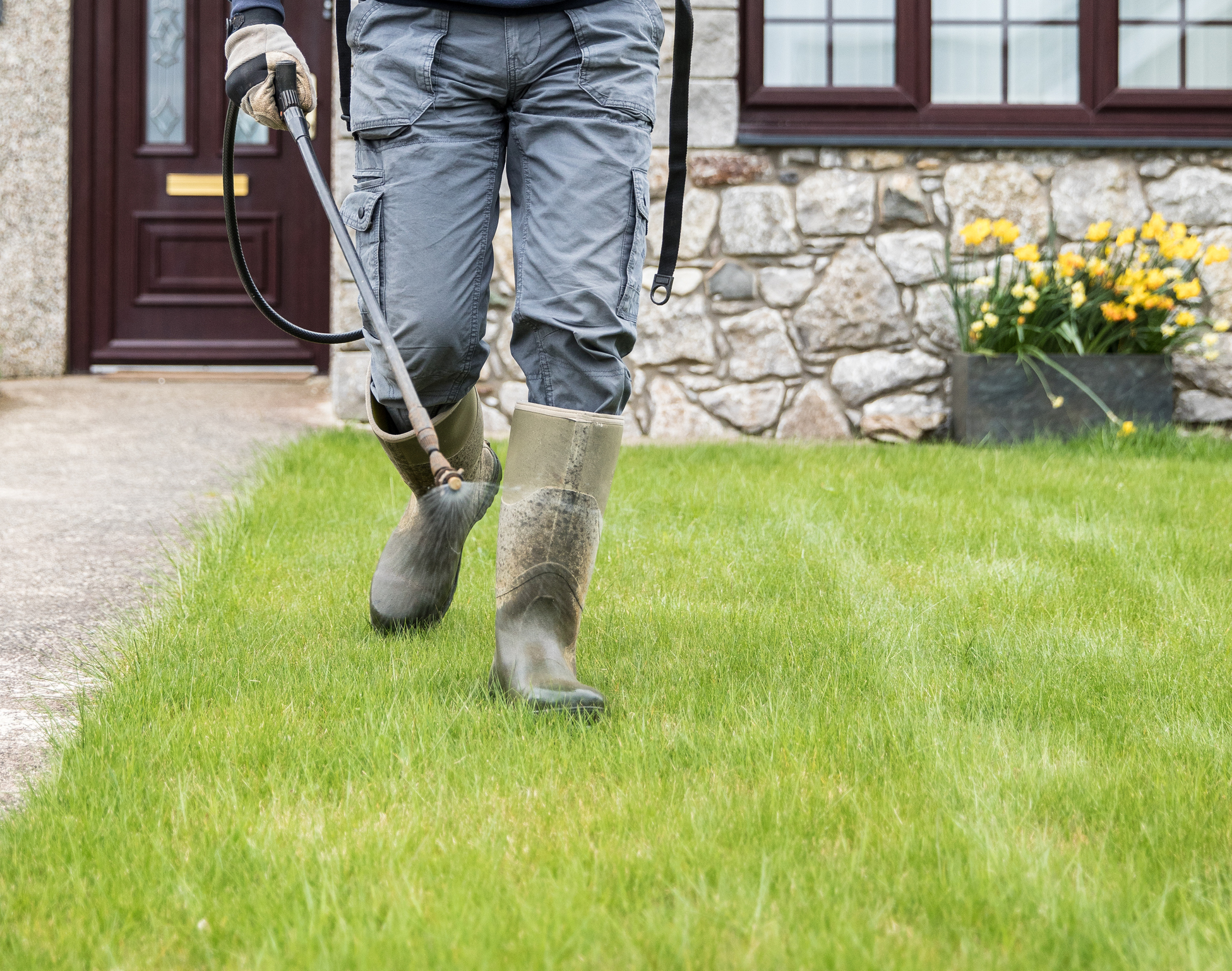 Best Weed Killers for Lawns - Essential If You Want To Avoid That Brown And  Burnt Look