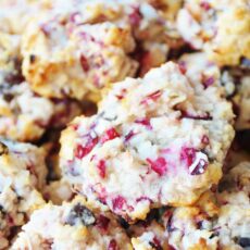 Chocolate cranberry coconut macaroons