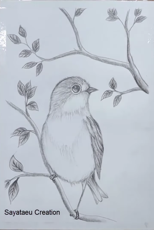 A simple sketch I did : r/drawing-saigonsouth.com.vn