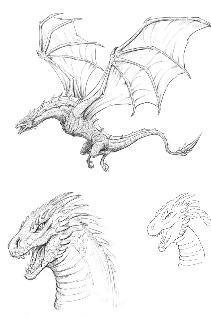 how to draw a step by step dragon easy