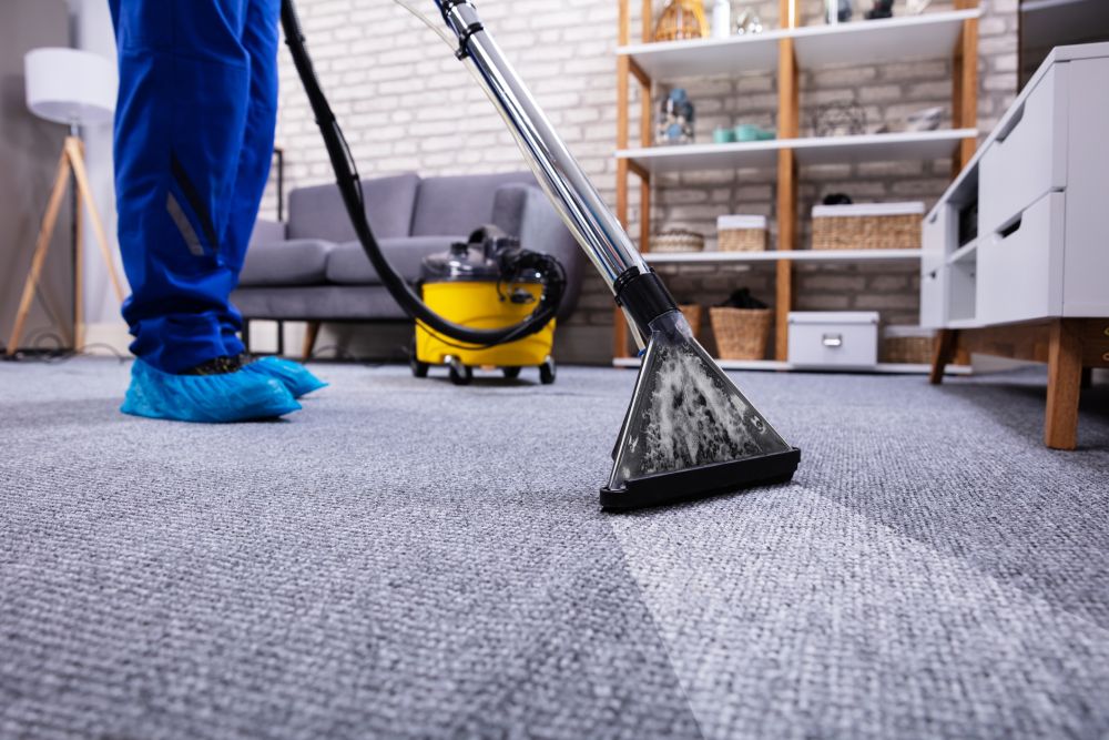 7 Best Carpet Shampooers For Pet Owners - Reviews and Buying Guide
