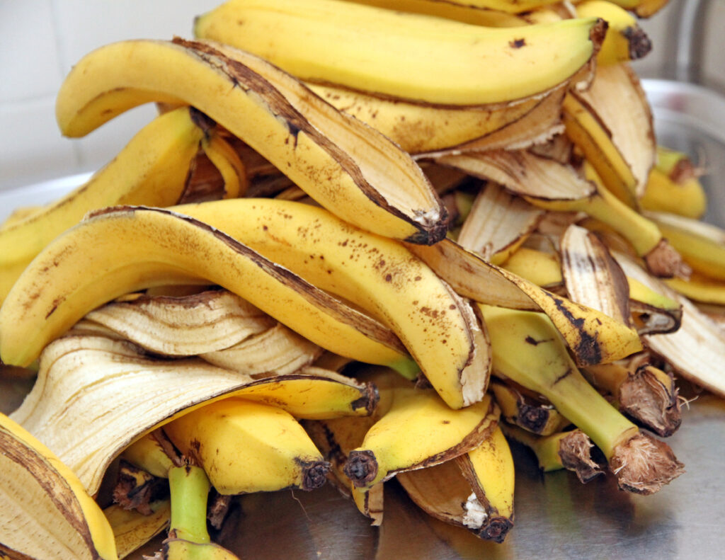 How To Use Dry Banana Peels as a Fertilizer | PreparednessMama