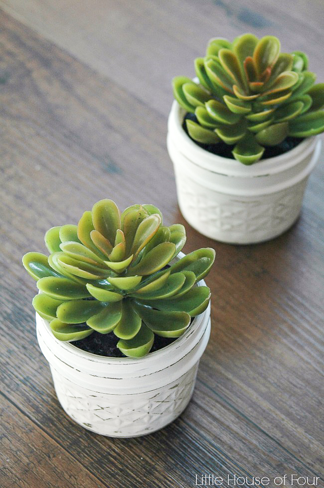 Quick and easy dollar store succulents