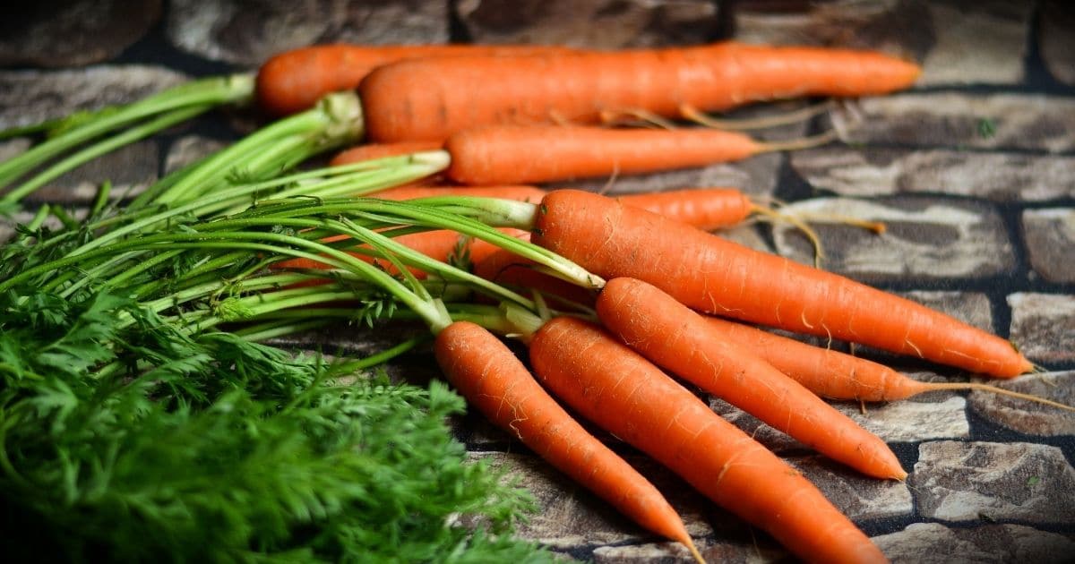 Carrots bp 1