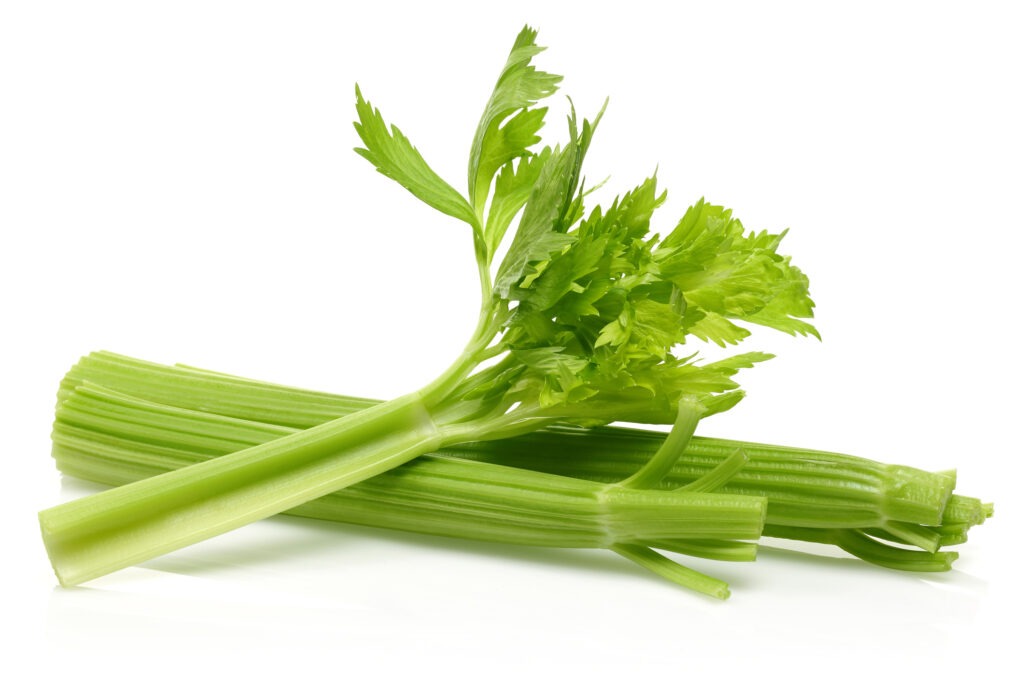 Fresh celery stalks on white background