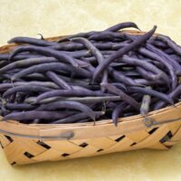Purple hull peas in basket