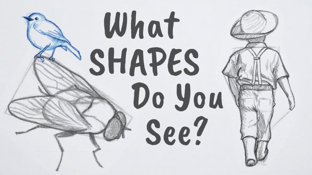 Basic shape drawing