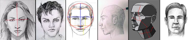 Facial proportions drawing