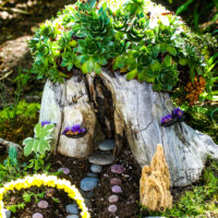 Tree stump fairyhouse with succulents