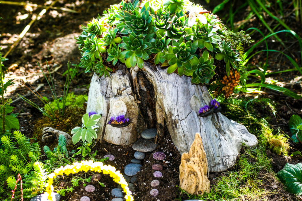 Tree stump fairyhouse with succulents