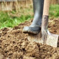 Help fix clay soil