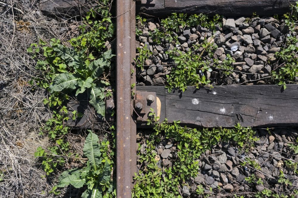 Railroad Ties For Garden Beds Safety, Are Railroad Ties Bad For Gardens