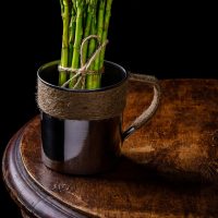 Potted asparagus (1)
