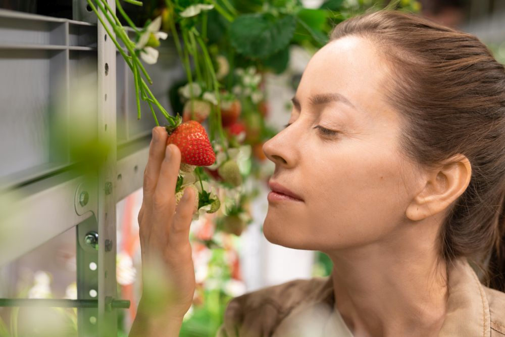 Vertical Farming