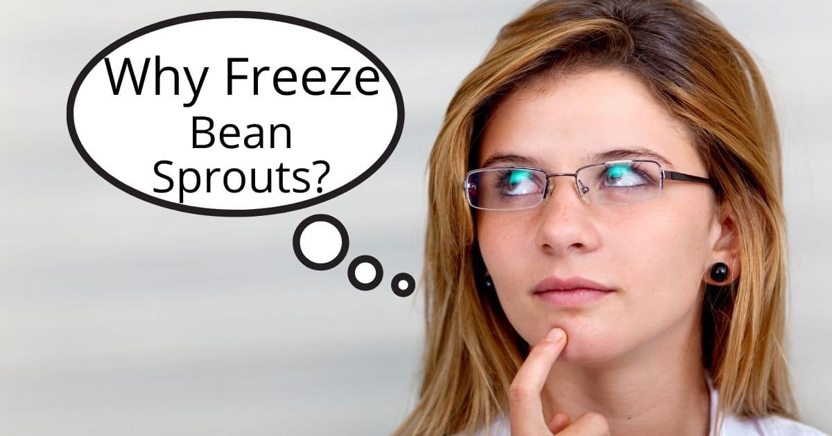 A banner of someone wondering "why to freeze bean sprouts"