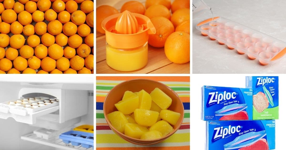 freeze orange juice in freezer bags
