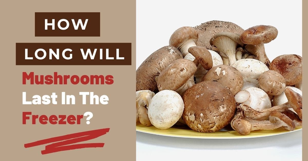 A banner with the words "how long will mushrooms last in the freezer?