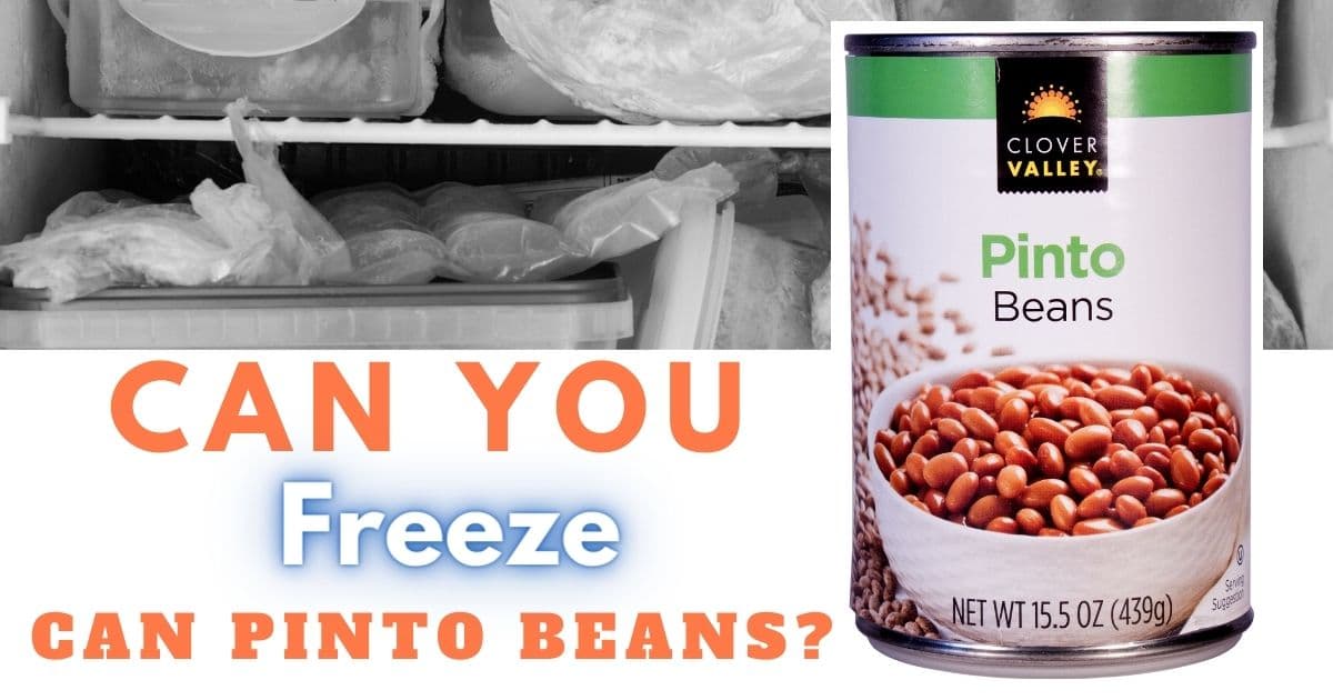 Freeze Pinto Beans