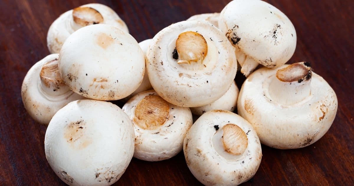 raw mushrooms