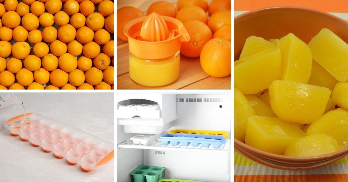 freeze orange juice in ice cube trays