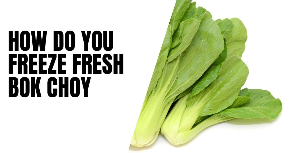 Can You Freeze Bok Choy You Can If Done Properly