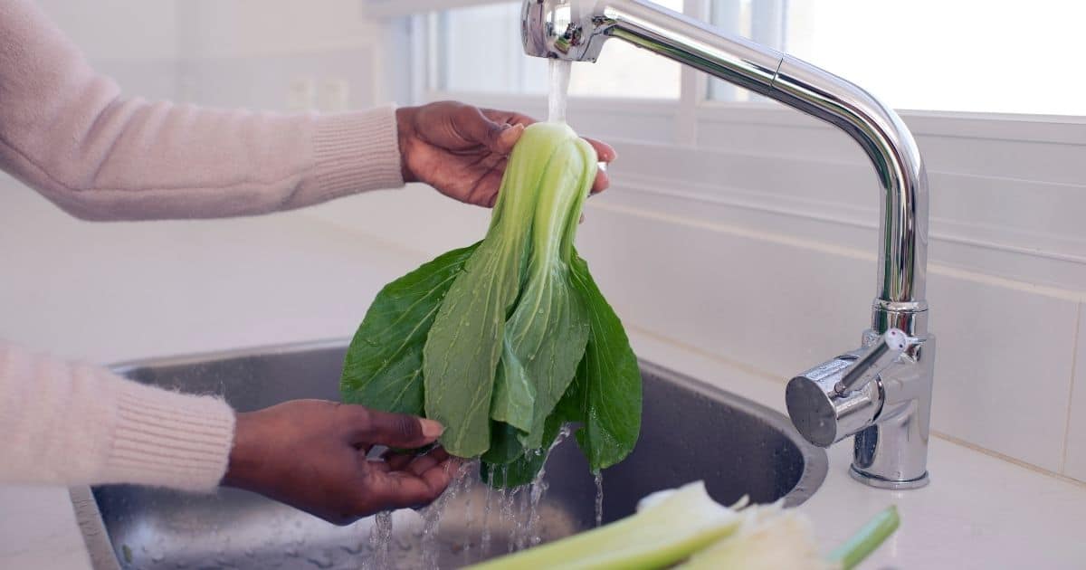 Bok choy being washed