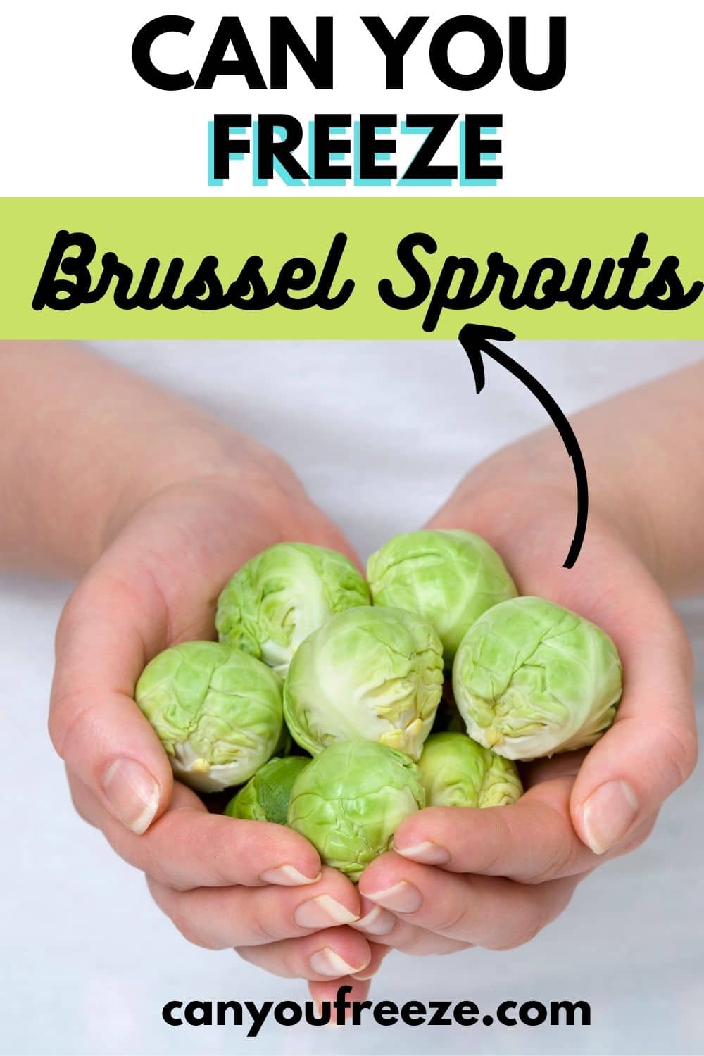 Brussel Sprouts Pin_4