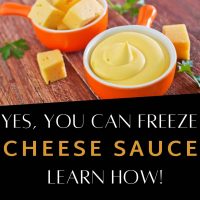 Can You Freeze Cheese Sauce?
