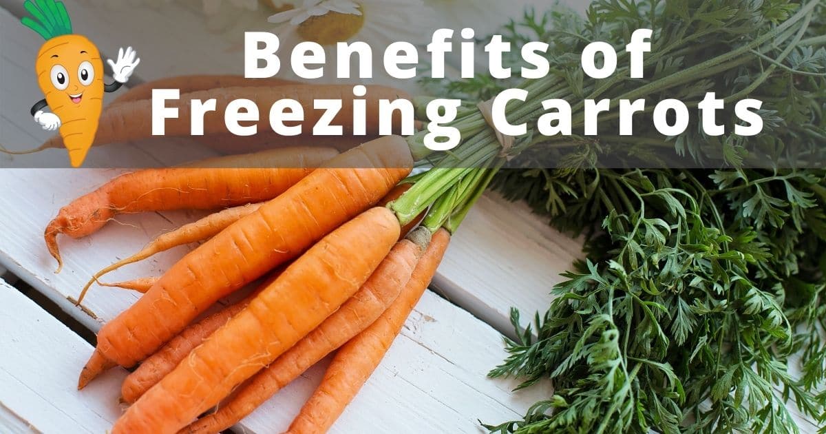 A bunch of whole orange carrots and the words "Benefits of Freezing Carrots"