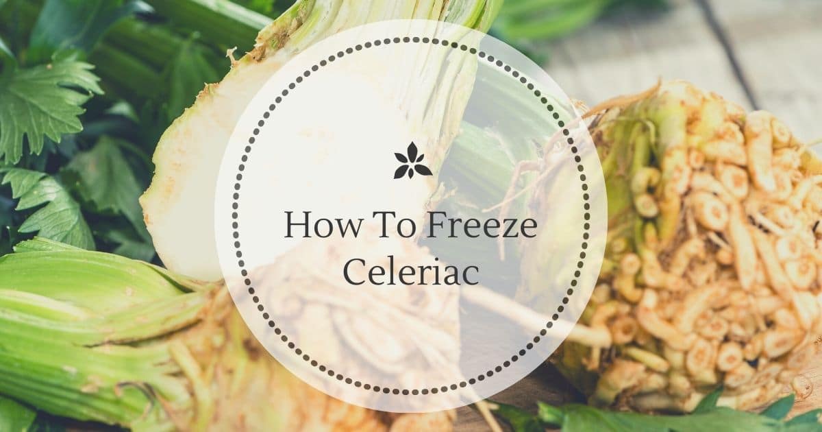 A picture of celeriac