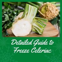 Can You Freeze Celeriac? Here’s How You Can Get It Right