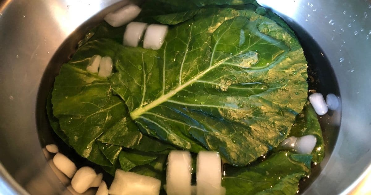 Picture of collard greens in icy water 