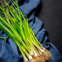 Can You Freeze Green Onions? Here’s All You Should Know