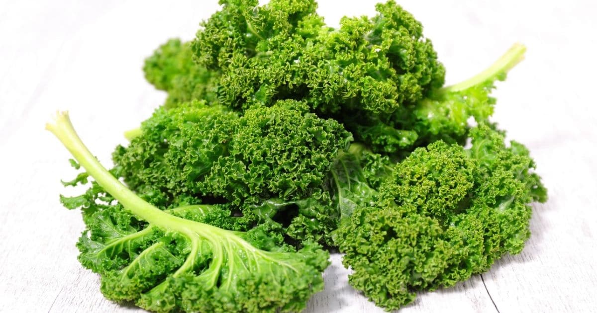 Can you freeze Kale?