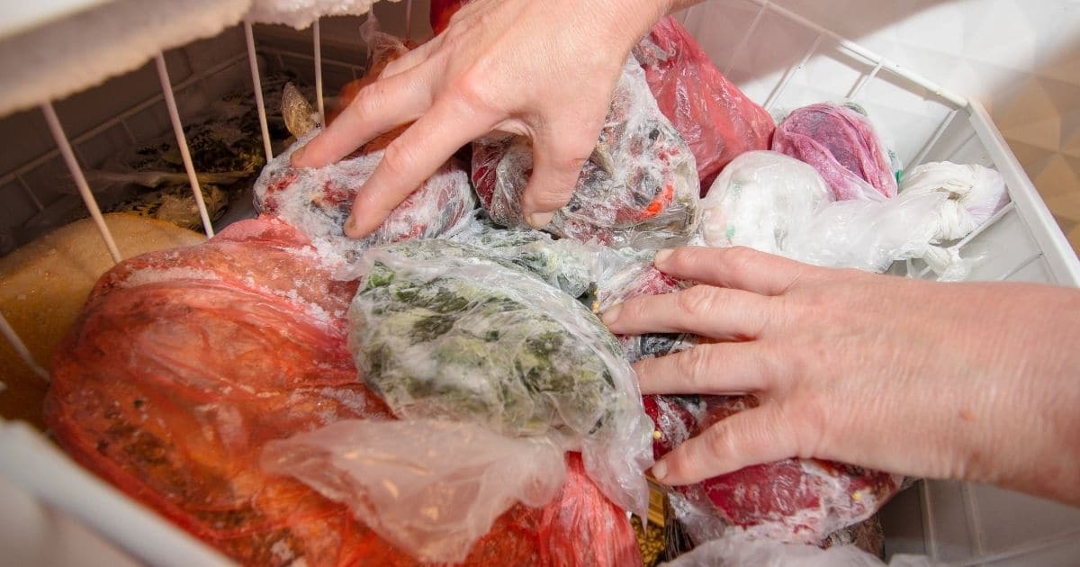 A pair of hands placing a bag of kale in the freezer