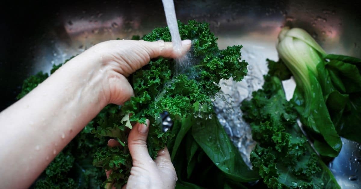 A person washing Kale leaves in a deep sink together with other green vegetables