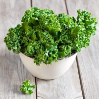 Can You Freeze Kale? Here’s All You Should Know