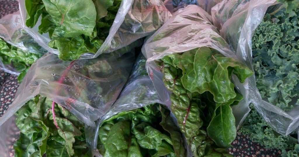 How to Freeze Lettuce Leaves - Lettuce in freezer bags