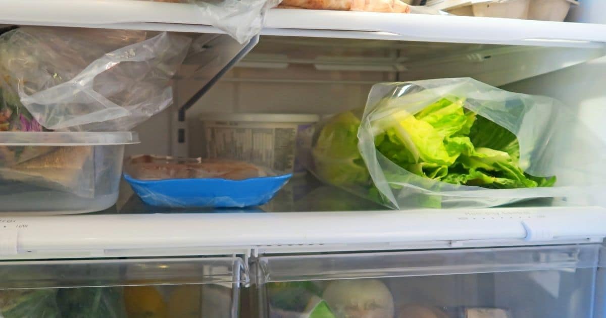 how long lettuce lasts fridge