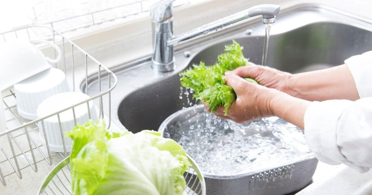 how to wash lettuce