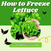 Can You Freeze Lettuce? Here’s How You Can Do This