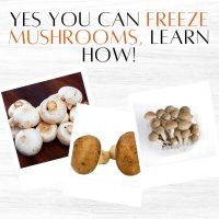 Can You Freeze Mushrooms? Here’s How To Get It Right