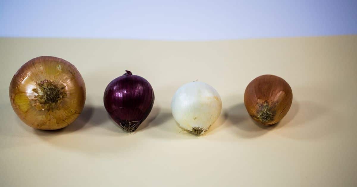 4 different type of onions on a table.