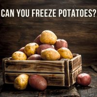 Can You Freeze Potatoes? Here’s All You Should Know
