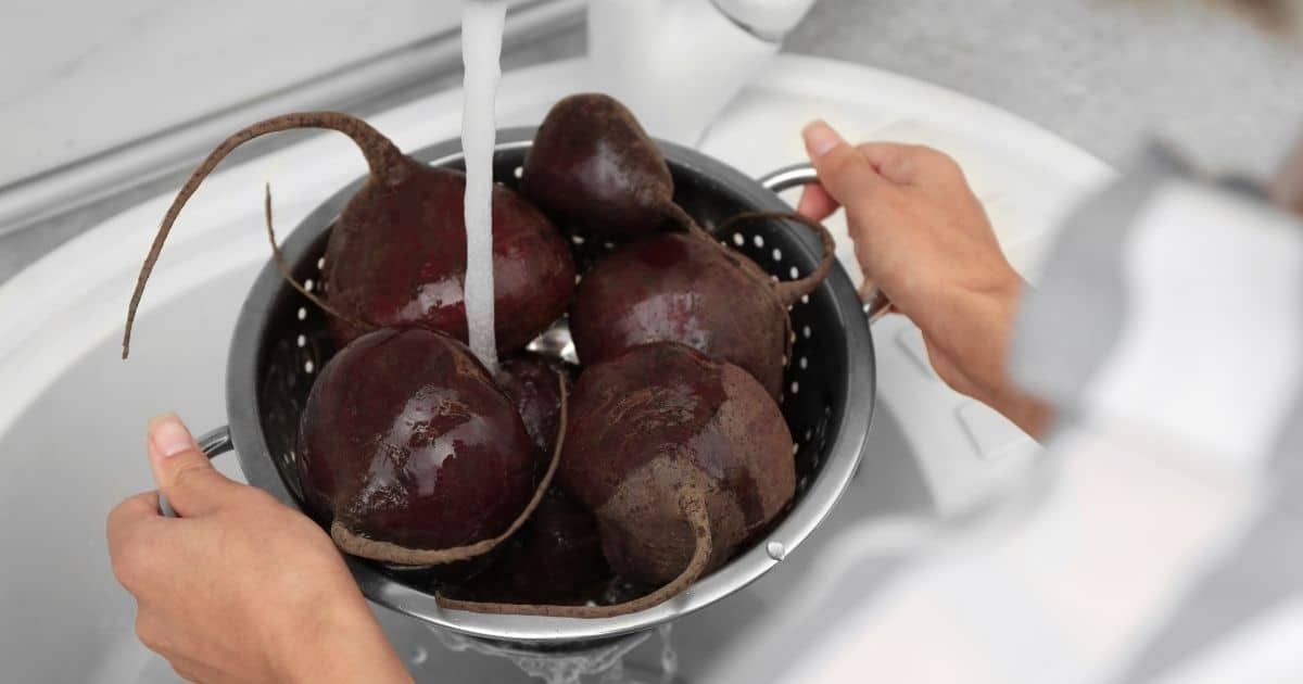 How Do You Cook and Freeze Beets - Beets being washed